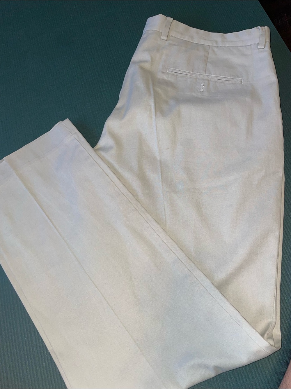 Express Photographer Men's khaki Pants